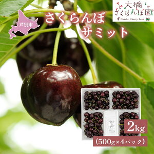 �y�ӂ邳�Ɣ[�Łz�������� ��s��t �T�~�b�g 2kg 500g×4�p�b�N �勴�������ډ� �_�ѐ��Y��b�� ��� �T�N�����{ �`�F���[ �ʕ� �ʕ��� �t���[�c �f�U�[�g ���� �� �嗱�@���͂��F2026�N7