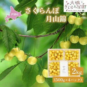 �y�ӂ邳�Ɣ[�Łz�������� ��s��t ���R�� 2kg 500g×4�p�b�N �_�ѐ��Y��b�� ��� �T�N�����{ �`�F���[ �ʕ� �ʕ��� �t���[�c �f�U�[�g �ō��� ���F �嗱 �Â� �_�������Ȃ� �������ڂ̏�