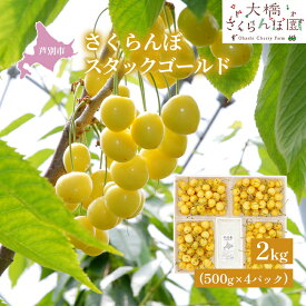 【ふるさと納税】【 先行受付 】さくらんぼ スタックゴールド黄 2kg（500g×4パック）サクランボ 黄 大橋 芦別 希少 大容量 果物類 フルーツ さくらんぼ チェリー 　お届け：2026年7月下旬頃～