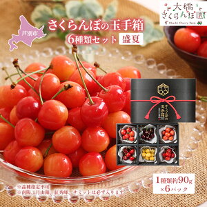 �y�ӂ邳�Ɣ[�Łz�������� ��s��t �������ڂ̋ʎ蔠 6��� �Z�b�g �l�ߍ��킹 ���� �i��w��s�� �T�~�b�g ���R�� ��z �g�G�� �_�ѐ��Y��b�� ��� �T�N�����{ �`�F���[ �ʕ� �ʕ��� 