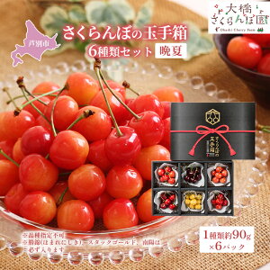 �y�ӂ邳�Ɣ[�Łz�y��s��t�z�������ڂ̋ʎ蔠 6��ރZ�b�g �Ӊ� ���i��w��s�� �ʕ��� �t���[�c �`�F���[ �@���͂��F2026�N8����{���`