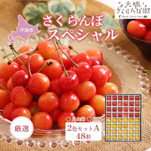 �y�ӂ邳�Ɣ[�Łz�������� ��s��t ���I �������ڃX�y�V���� 2�FA 48�� �� �� �勴�������ډ� �_�ѐ��Y��b�� ��� ���ϔ����� �M�t�g ������ ���蕨 ��z ���R�� �T�N�����{ �`�F���[