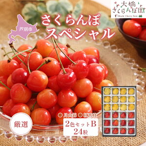 �y�ӂ邳�Ɣ[�Łz��s�\�� ���I �������� �X�y�V���� 2�F �Z�b�g B 24�� �i�ԁE���j �g�G�� ���R�� �H�ה�� �t���[�c �ʕ� �G�߂̃t���[�c �{ �{�̃t���[�c �� ���ϔ� �M�t�g ���蕨 ���� 