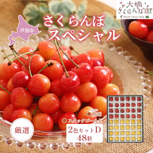 �y�ӂ邳�Ɣ[�Łz�y��s��t�z���I�������ڃX�y�V����2�FD 48���i�ԁE���j���сE�X�^�b�N�S�[���h �ʕ��� �t���[�c �`�F���[ �@���͂��F2026�N8����{���`