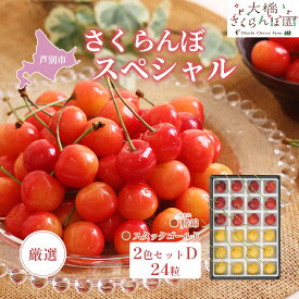 【ふるさと納税】【 先行受付 】さくらんぼ 厳選さくらんぼスペシャル2色D 24粒（赤・黄）勝錦・スタックゴールド 果物類 フルーツ チェリー 　お届け：2026年7月下旬頃～