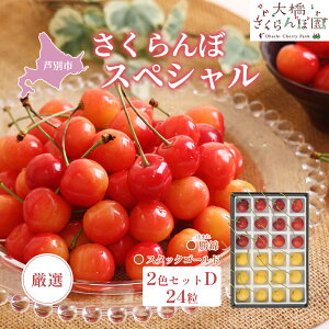 �y�ӂ邳�Ɣ[�Łz�y��s��t�z���I�������ڃX�y�V����2�FD 24���i�ԁE���j���сE�X�^�b�N�S�[���h �ʕ��� �t���[�c �`�F���[ �@���͂��F2026�N8����{���`