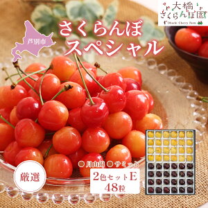 �y�ӂ邳�Ɣ[�Łz�������� ��s��t ���I �������ڃX�y�V����2�FE 48�� �� �� �勴�������ډ� ���ϔ����� �M�t�g ������ ���蕨 ���R�� �T�~�b�g �T�N�����{ �`�F���[ �ʕ� �ʕ��� �t��