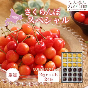 �y�ӂ邳�Ɣ[�Łz��s�\�� ���I �������� �X�y�V���� 2�F �Z�b�g E 24���i���E���j ���R�� �T�~�b�g �t���[�c �ʕ� �G�߂̃t���[�c �{ �{�̃t���[�c �� ���ϔ� �M�t�g ���蕨 ���� �v���[��