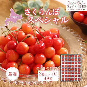 �y�ӂ邳�Ɣ[�Łz�������� ��s��t ���I �������ڃX�y�V���� 2�FC 48�� ��7��S���ʎ��Z�p�E�o�c�R���N�[���_�ѐ��Y��b�܎�� ��z �g�G�� �`�F���[ �t���[�c �ʕ� �{�̃t���[�c �{��