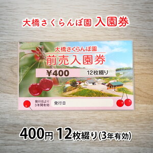 yӂ邳Ɣ[Łž kC  勴ډ   400~ 12Ԃ 3NL  t[c t[c ʕ G߂̃t[c { {̃t[c `Pbg  _ ̌^ 