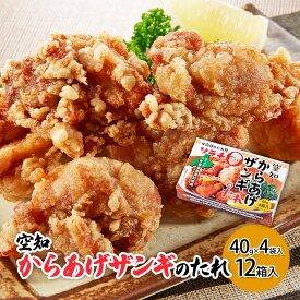 【ふるさと納税】【12箱】空知からあげザンギのたれ(40g×4袋入) 12箱入り ご当地 北海道 芦別 ザンギ からあげ たれ タレ