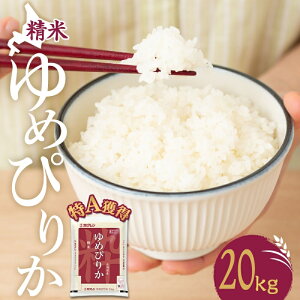 yӂ邳Ɣ[Łz kC ߂҂肩20kgizNājA l   ͂ Y uh 20L    kC  kC ʎs