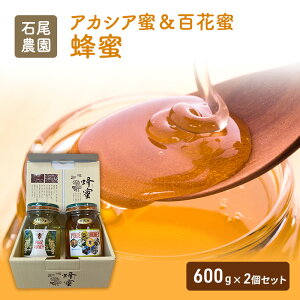 yӂ邳Ɣ[ŁzΔ_I(݂͂SԖ×AJVAI)Zbg(600g×2) n`~c nj[ e ۑH hЃObY
