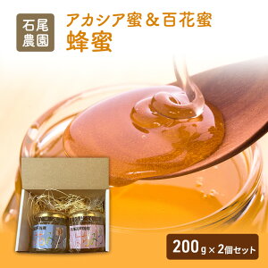yӂ邳Ɣ[ŁzΔ_I(݂͂SԖ×AJVAI)Zbg(200g×2) n`~c nj[ e ۑH hЃObY
