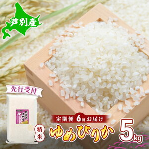 yӂ邳Ɣ[Łzy st z  6 ߂҂肩 5kg   Yn  Pꌴ uh A A 5L kC kCY  ͂  R  ߘa6NY