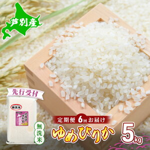 yӂ邳Ɣ[Łzy st z  6 ߂҂肩  5kg   Yn  Pꌴ uh A A 5L kCY  ͂  R  ߘa6NY 