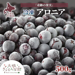 yӂ邳Ɣ[ŁzAjA 500g Ⓚ ʕ  t[c {̉ʕ {̃t[c 勴ډ ʕ t[c fU[g n }Ⓚ VN  lC Ⓚz kC ʎs