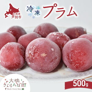 yӂ邳Ɣ[Łzv 500g Ⓚ ʕ  t[c {̉ʕ {̃t[c 勴ډ ʕ t[c fU[g n }Ⓚ VN  lC Ⓚz kC ʎs