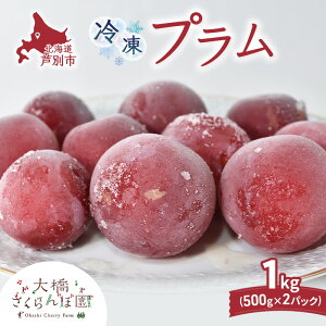 yӂ邳Ɣ[Łzv 500g × 2pbN 1kg Ⓚ ʕ  t[c {̉ʕ {̃t[c 勴ډ ʕ t[c fU[g n }Ⓚ VN  lC Ⓚz kC