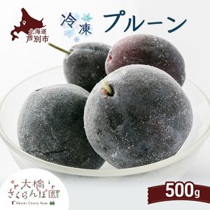 yӂ邳Ɣ[Łzv[ 500g Ⓚ ʕ  t[c {̉ʕ {̃t[c 勴ډ ʕ t[c fU[g n }Ⓚ VN  lC Ⓚz kC ʎs