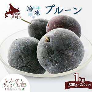 yӂ邳Ɣ[Łzv[ 500g × 2pbN 1kg Ⓚ ʕ  t[c {̉ʕ {̃t[c 勴ډ ʕ t[c fU[g n }Ⓚ VN  lC Ⓚz k