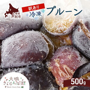 yӂ邳Ɣ[ŁzyAz Ⓚ v[ 500g 勴ډ ʕ ʕ t[c fU[g n }Ⓚ VN  lC Ⓚz kC ʎs