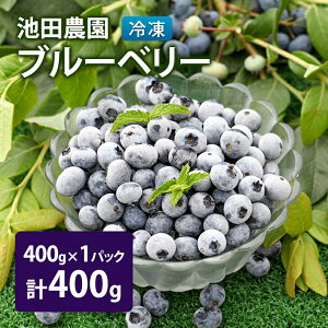 yӂ邳Ɣ[ŁzⓀ u[x[ 400g (400g×1pbN) kCY t[c ʕ {̃t[c {̉ʕ  kC ʎs