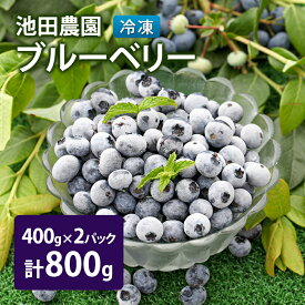 【ふるさと納税】冷凍 ブルーベリー 800g (400g×2パック) 北海道産 フルーツ 果物 旬のフルーツ 旬の果物 くだもの 北海道 芦別市