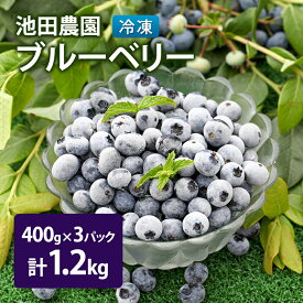 【ふるさと納税】冷凍 ブルーベリー 1.2kg (400g×3パック) 北海道産 フルーツ 果物 旬のフルーツ 旬の果物 くだもの 北海道 芦別市