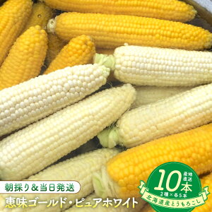 �y�ӂ邳�Ɣ[�Łz�y2026�N8�����{�����J�n�z�k�C���Y�Ƃ����낱���i�b���S�[���h5�{�E�s���A�z���C�g5�{�Z�b�g�j | ��� �₳�� �H�i �l�C �������� ��������