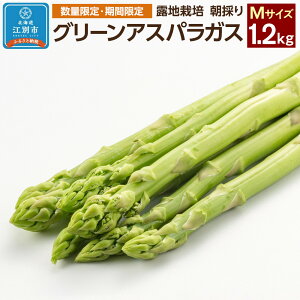 yӂ邳Ɣ[Łzys\/2026N4{蔭JnzBO003ʌEԌ聄O[AXpKX(MTCY) 1.2kg In͔| ̂