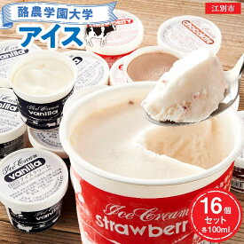 【ふるさと納税】酪農学園大学アイス16個セット（各100ml） | お菓子 氷菓 アイス バニラ チョコ ストロベリー セット スイーツ デザート 生乳 北海道ふるさと納税 江別 ふるさと納税 北海道