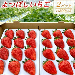 yӂ邳Ɣ[Łzڂ@600gi300g×2pbNj | َq  Hi lC  