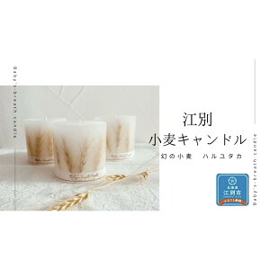 yӂ邳Ɣ[Łz]ʏLh 1 | G pi lC  