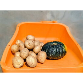 【ふるさと納税】Suage直営農園　新じゃが3kg＆かぼちゃ1玉 | 野菜 やさい 食品 人気 おすすめ 送料無料