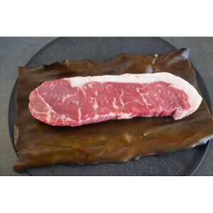 yӂ邳Ɣ[Łzz߃T[CXe[L@4 |   ɂ Hi kCY lC   Mtg