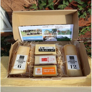 yӂ邳Ɣ[Łzn`[Y@5Zbg | ]ʎs kCY  `[YZbg Z N[~[ ₩ n L đq