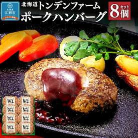 【ふるさと納税】北海道トンデンファーム ポークハンバーグ | 肉 お肉 にく 食品 人気 おすすめ 送料無料 ギフト