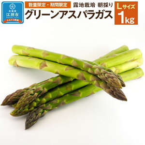 yӂ邳Ɣ[Łzys\/2026N4{蔭JnzBO002ʌEԌ聄O[AXpKX(LTCY) 1kg In͔| ̂