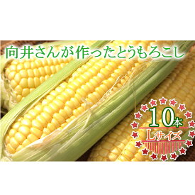 楽天市場 赤 とうもろこし 野菜 きのこ 食品の通販