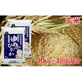 楽天市場 米 10kg 3の通販