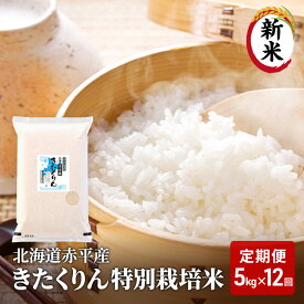 【ふるさと納税】北海道赤平産 きたくりん 5kg 特別栽培米 【12回お届け】 精米 米 北海道 定期便　【定期便・お米 赤平産】