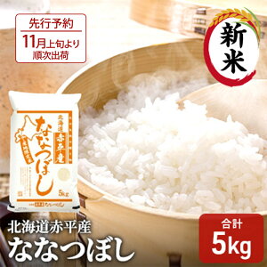yӂ邳Ɣ[Łzys\2025NYāE11{菇oׁzs\ V kCԕY ȂȂڂ 5kg   kC  ӂ邳Ɣ[ @͂F2025N11{菇o