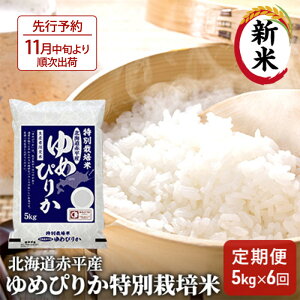 yӂ邳Ɣ[ŁzkCԕY ߂҂肩 5kg ʍ͔| y6񂨓͂z   kC  ӂ邳Ɣ[ @͂F2025N11{菇o