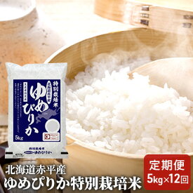 【ふるさと納税】北海道赤平産 ゆめぴりか 5kg 特別栽培米 【12回お届け】 精米 米 北海道 定期便 ふるさと納税