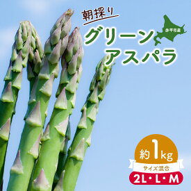 【ふるさと納税】アスパラ 北海道 朝採り 春グリーンアスパラ 約1kg［ほりぐち農園］ ※2026年4月中旬出荷開始先行予約 野菜 アスパラガス グリーンアスパラ 旬 とれたて お取り寄せ 産地直送 生産者直送 　お届け：2026年4月中旬～2026年6月中旬まで