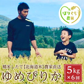 【ふるさと納税】【2023年産米】【6ヶ月定期便】北海道赤平産ゆめぴりか5kg 精米したて直送　【定期便・ 6ヶ月 6回 半年 赤平産 北海道 定期便】　お届け：2023年10月中旬頃より6ヶ月連続のお届けとなります。※天候や発育によりお届けが遅れることがあります。