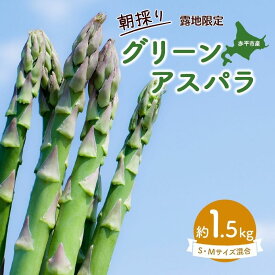 【ふるさと納税】アスパラ 北海道 約1.5kg！朝採り 露地限定グリーンアスパラ（M・Sサイズ混合）［ほりぐち農園］※2026年5月中旬出荷開始先行予約 野菜 アスパラガス 旬 とれたて お取り寄せ 産地直送 　お届け：2026年5月上旬～2026年6月中旬まで