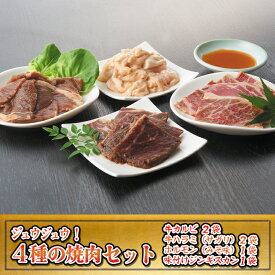 【ふるさと納税】焼肉ジュウジュウ！4種の焼肉セット　【牛肉・ホルモン・羊肉・ラム肉・お肉・焼肉・バーベキュー】