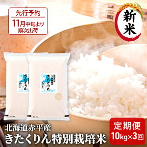 yӂ邳Ɣ[ŁzkCԕY  10kg (5kg×2) ʍ͔| y3񂨓͂z   kC   @͂F2025N11{菇o